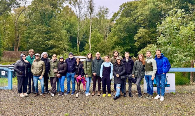 Team Building Sostenibile a Dublino | Pardgroup x Seal Rescue Ireland