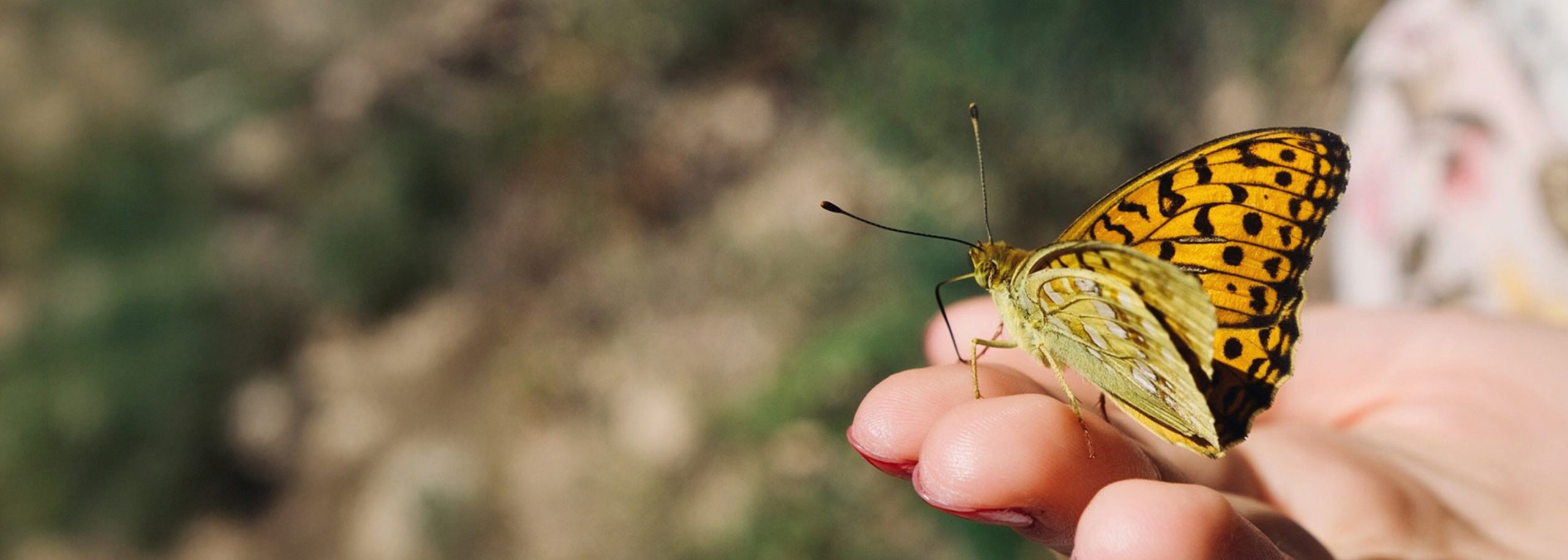 Pardgroup | sostenibilita-opening-1
