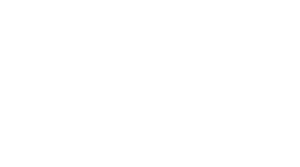 Pardgroup | pardees-top-white